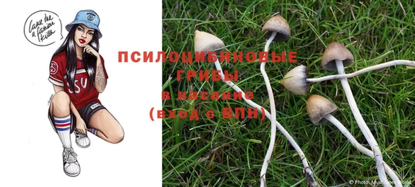 не бодяженный Михайлов