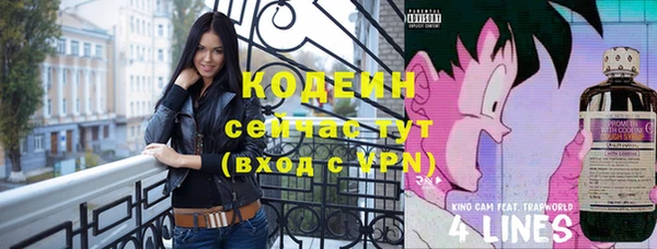 не бодяженный Михайлов